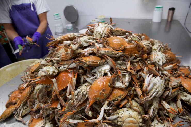 Procesadores de mariscos