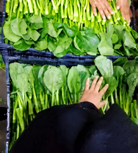 Trabajadores de empaque y procesamiento de verduras manualmente