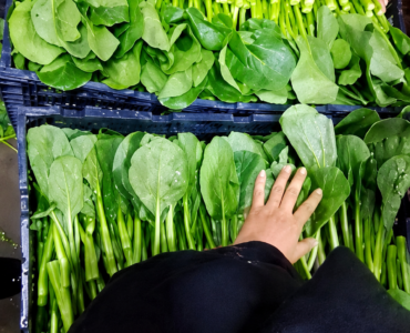 Trabajadores de empaque y procesamiento de verduras manualmente