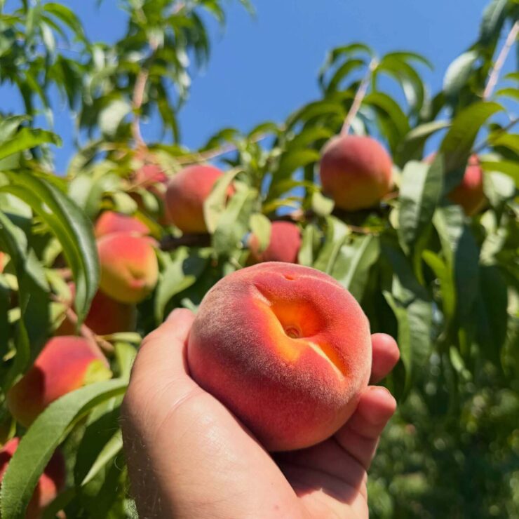 ¡Estamos contratando personal para la temporada de otoño para todos los puestos!